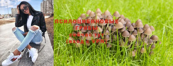 MESCALINE Алзамай